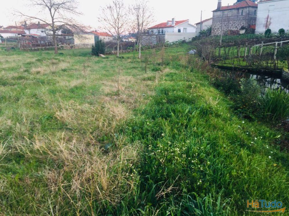Terreno agrícola em Perelhal com 7 000m2 Terreno agrícola em Perelhal com 7 000m2