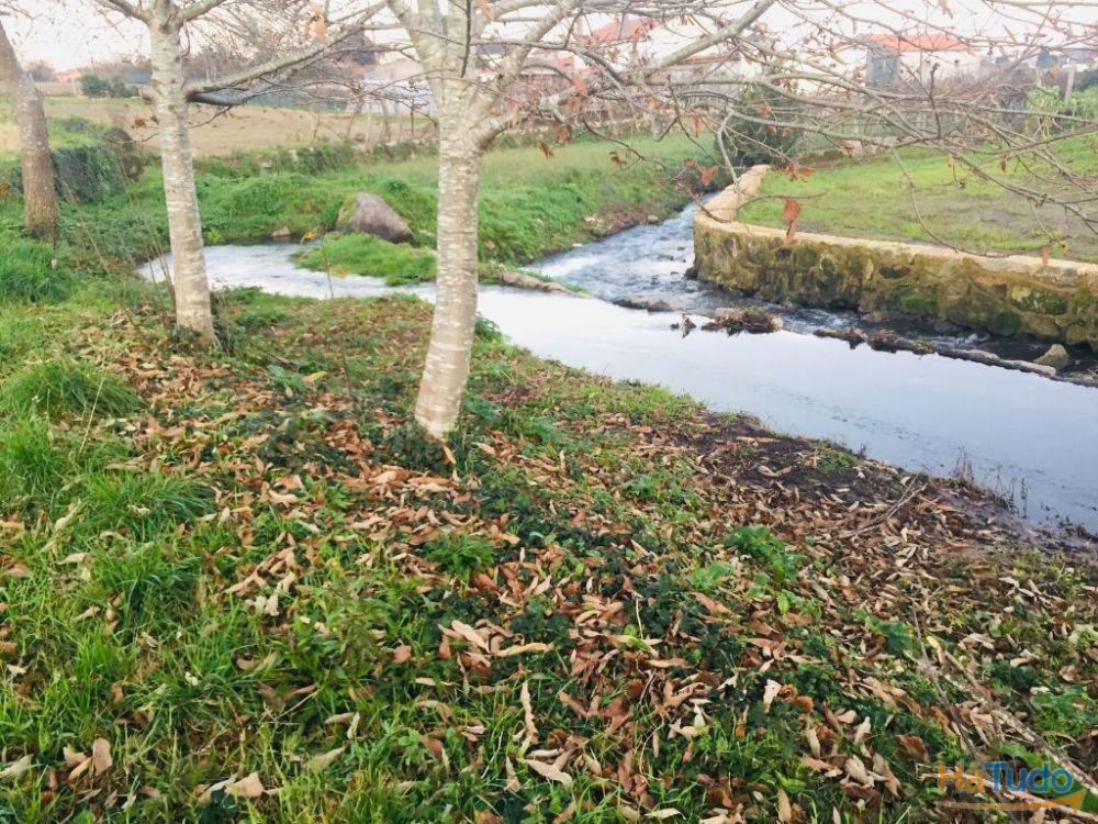 Terreno agrícola em Perelhal com 7 000m2 Terreno agrícola em Perelhal com 7 000m2