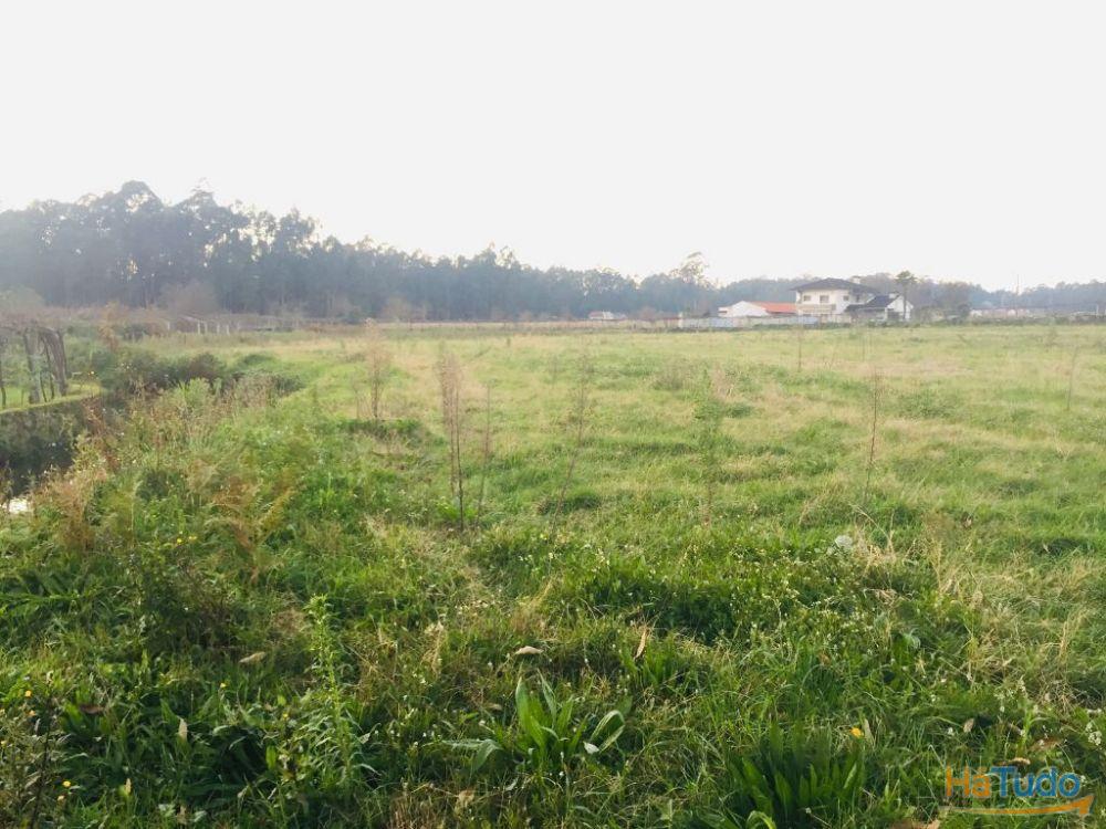 Terreno agrícola em Perelhal com 7 000m2 Terreno agrícola em Perelhal com 7 000m2
