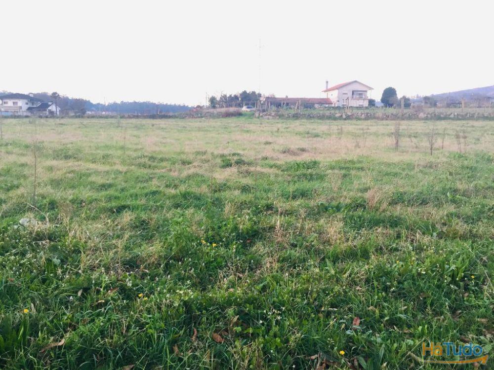Terreno agrícola em Perelhal com 7 000m2 Terreno agrícola em Perelhal com 7 000m2