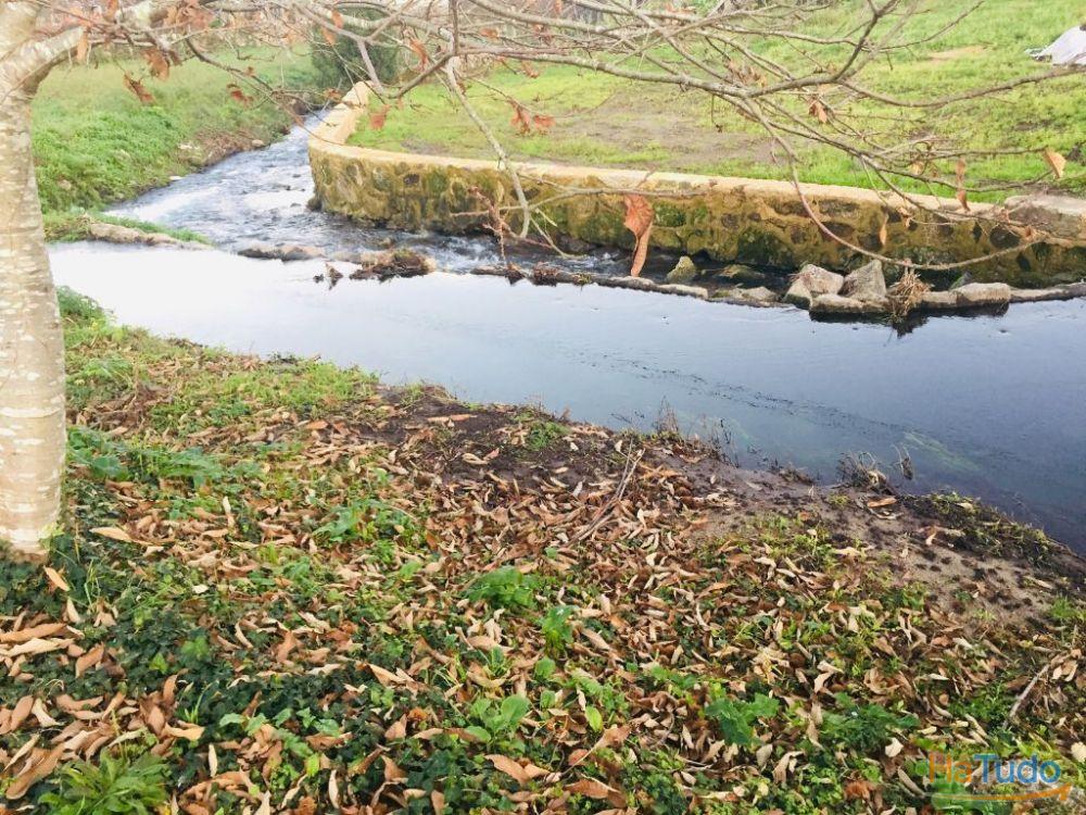 Terreno agrícola em Perelhal com 7 000m2 Terreno agrícola em Perelhal com 7 000m2