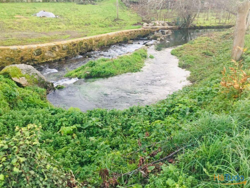 Terreno agrícola em Perelhal com 7 000m2 Terreno agrícola em Perelhal com 7 000m2