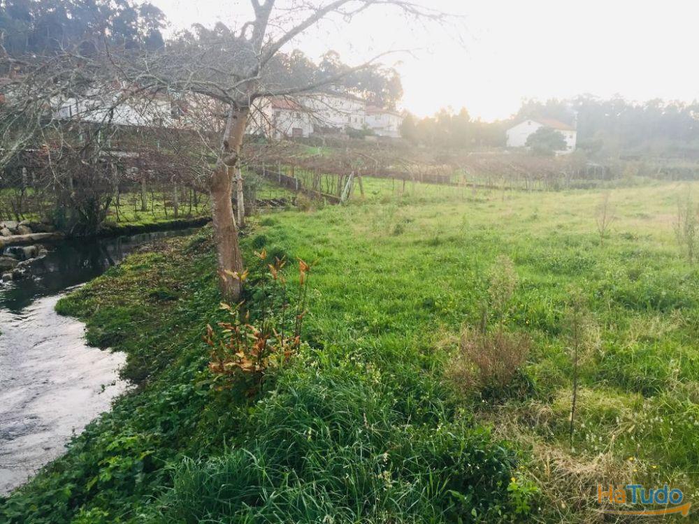 Terreno agrícola em Perelhal com 7 000m2 Terreno agrícola em Perelhal com 7 000m2