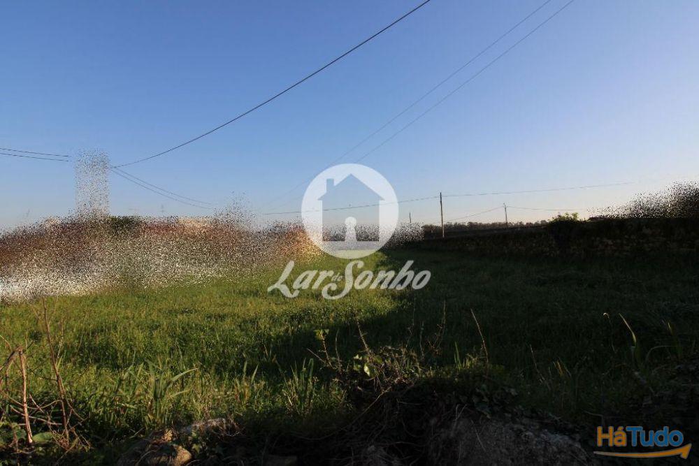 Terreno p/ construção c/ 1560m2 - Argivai Terreno p/ construção c/ 1560m2 - Argivai