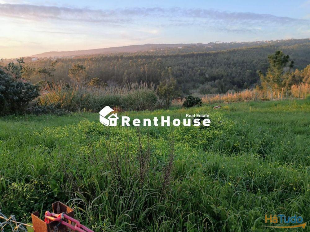 Terreno Para Construção em Buarcos Terreno Para Construção em Buarcos