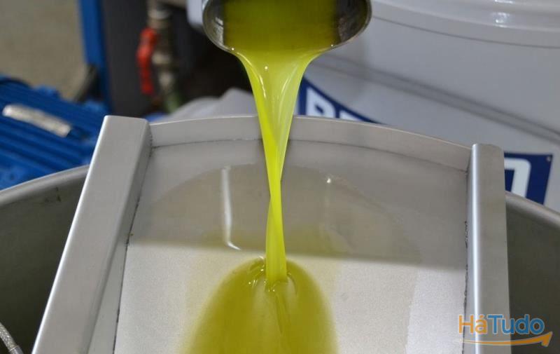 Lagar de Azeite participação, Pinhel, Guarda, Portugal. Lagar de Azeite participação, Pinhel, Guarda, Portugal.