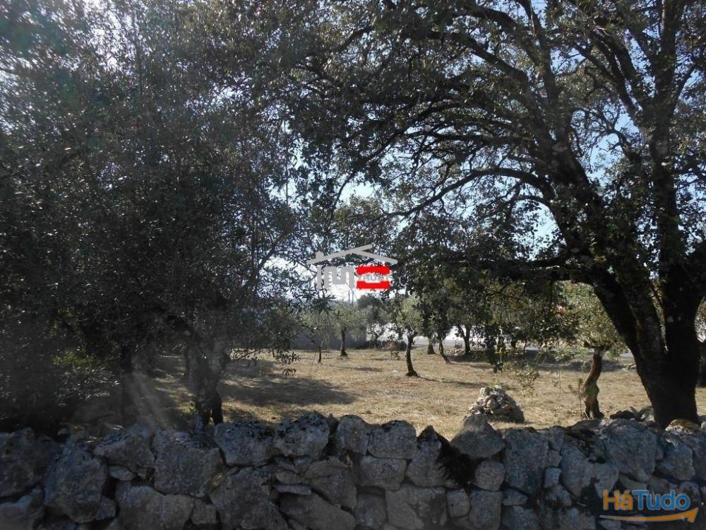 Terreno para construção Terreno para construção