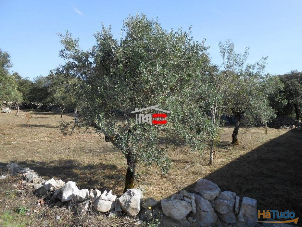 Terreno para construção Terreno para construção