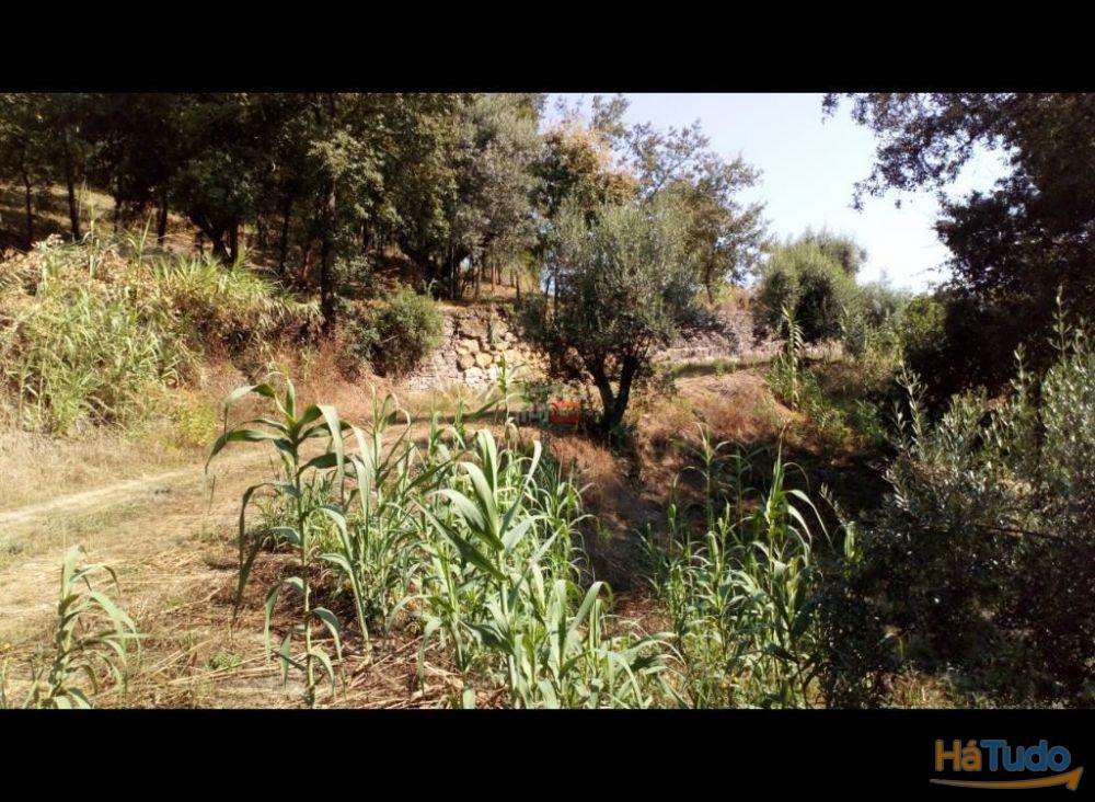 Terreno Rustico com 7400m2 Terreno Rustico com 7400m2