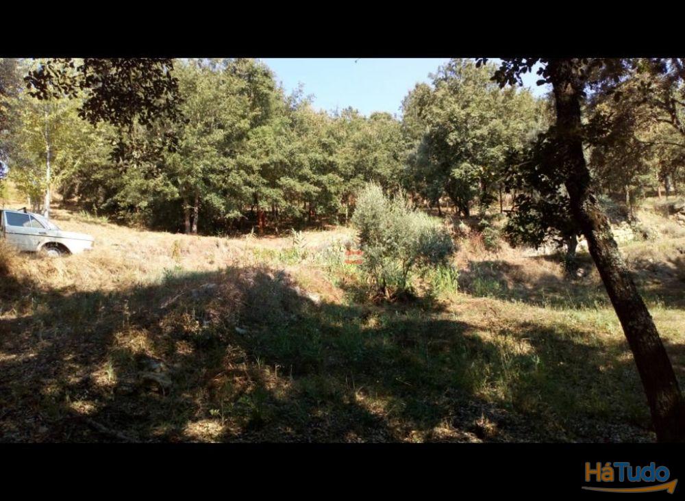 Terreno Rustico com 7400m2 Terreno Rustico com 7400m2