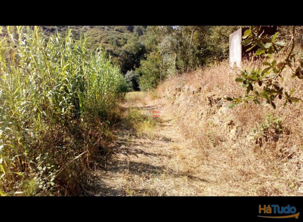 Terreno Rustico com 7400m2 Terreno Rustico com 7400m2