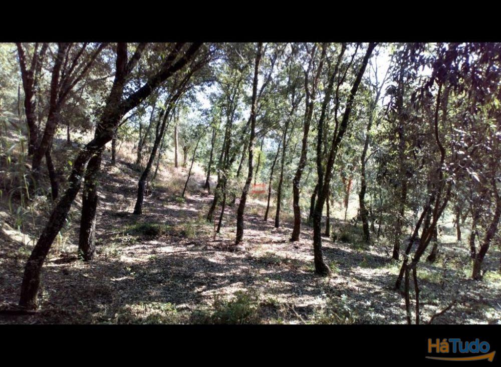 Terreno Rustico com 7400m2 Terreno Rustico com 7400m2