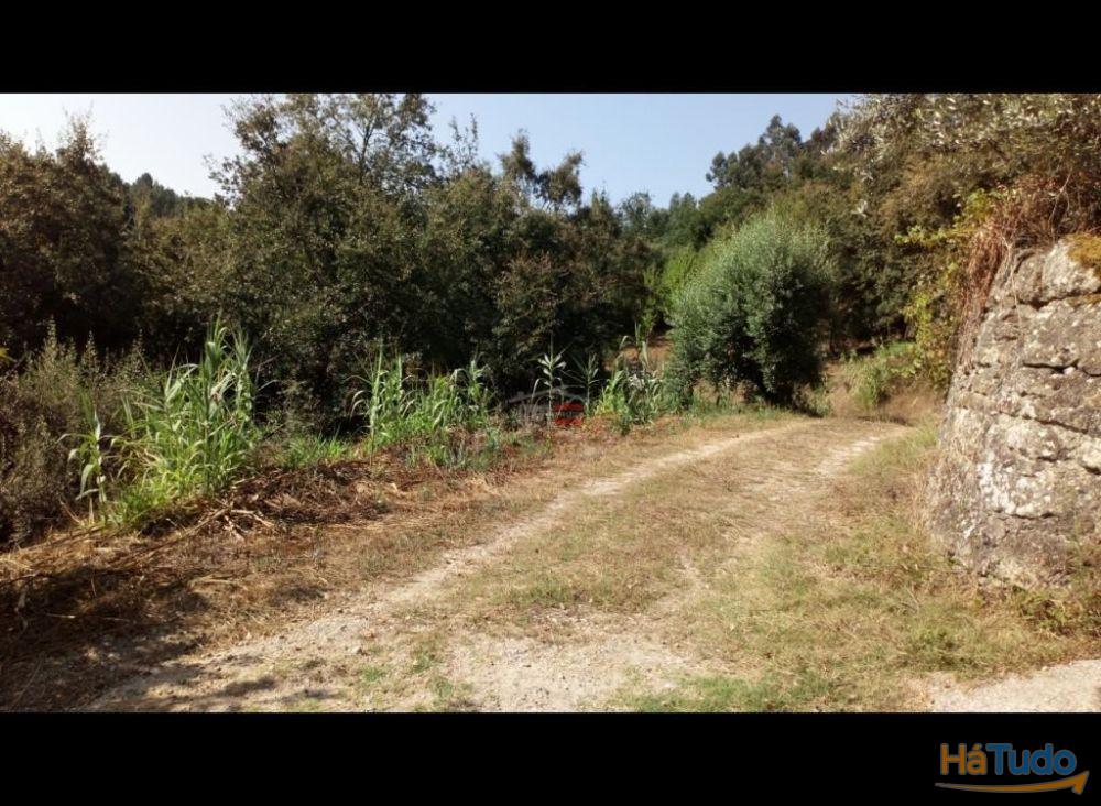 Terreno Rustico com 7400m2 Terreno Rustico com 7400m2