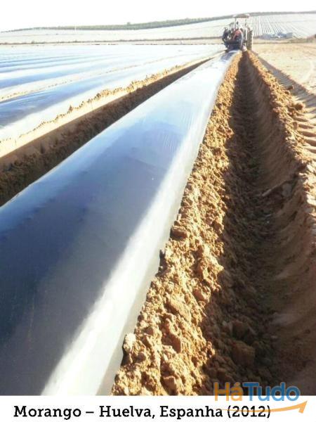 MULCH BIODEGRADAVEL AGROBIOFILM - ROLOS 2200 MTS 12 MICROS MULCH BIODEGRADAVEL AGROBIOFILM - ROLOS 2200 MTS 12 MICROS