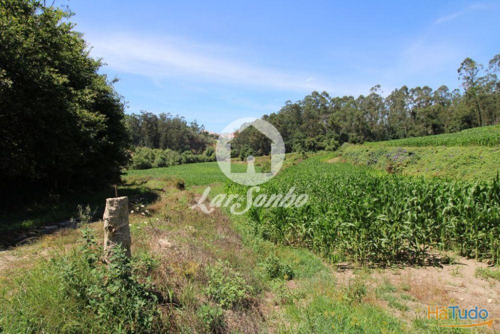 Terreno Agrícola c/21.000 m2 em Junqueira, Vila do Conde Terreno Agrícola c/21.000 m2 em Junqueira, Vila do Conde