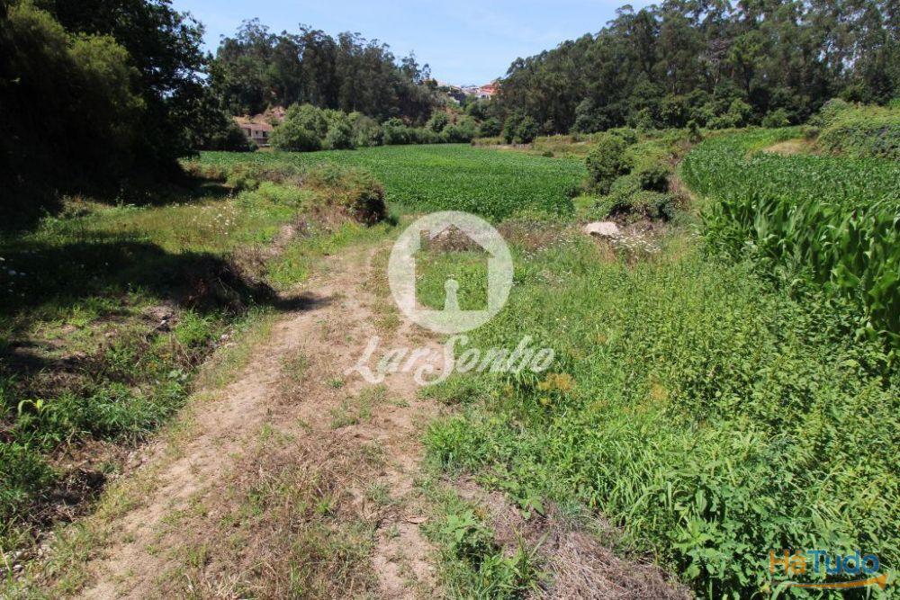 Terreno Agrícola c/21.000 m2 em Junqueira, Vila do Conde Terreno Agrícola c/21.000 m2 em Junqueira, Vila do Conde