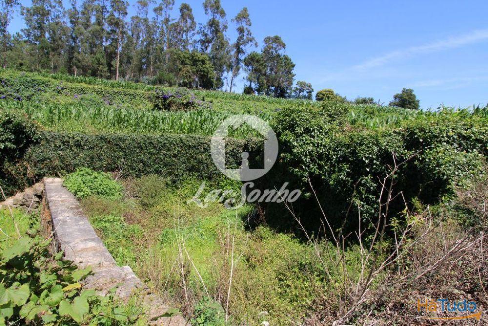 Terreno Agrícola c/21.000 m2 em Junqueira, Vila do Conde Terreno Agrícola c/21.000 m2 em Junqueira, Vila do Conde