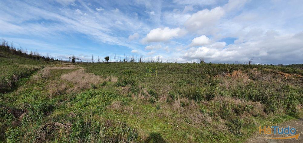 Quinta T0 Venda em Freixial e Juncal do Campo,Castelo Branco Quinta T0 Venda em Freixial e Juncal do Campo,Castelo Branco