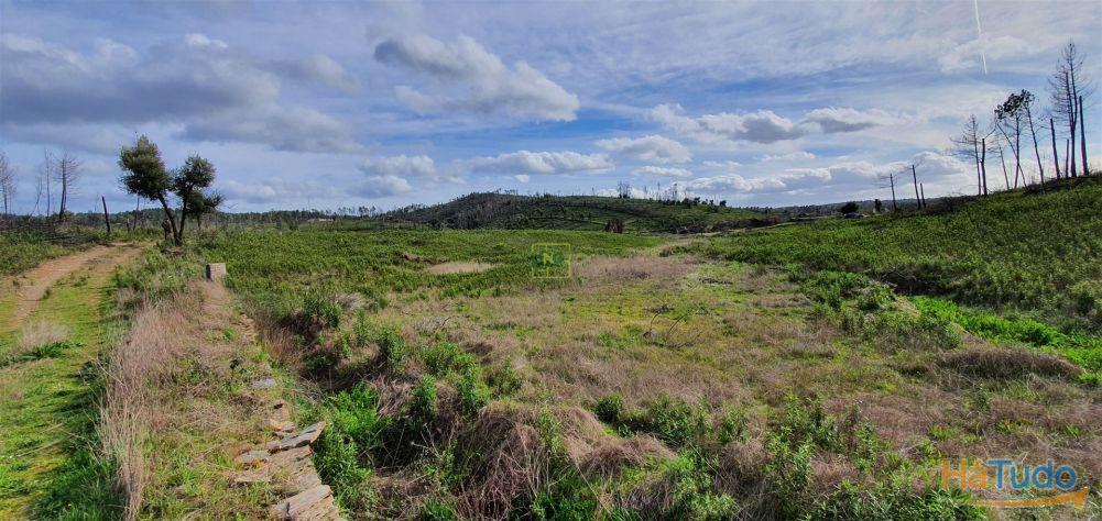 Quinta T0 Venda em Freixial e Juncal do Campo,Castelo Branco Quinta T0 Venda em Freixial e Juncal do Campo,Castelo Branco