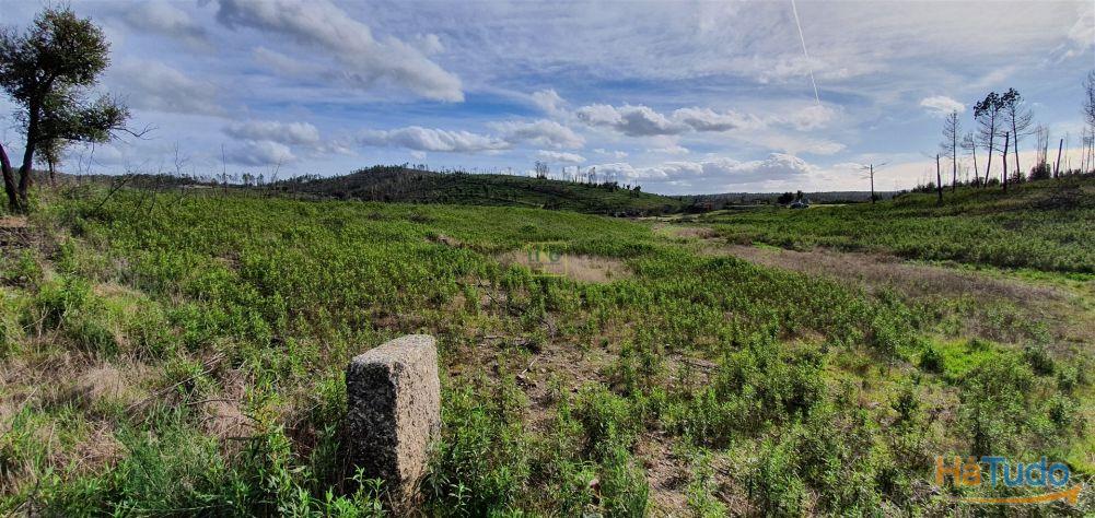 Quinta T0 Venda em Freixial e Juncal do Campo,Castelo Branco Quinta T0 Venda em Freixial e Juncal do Campo,Castelo Branco