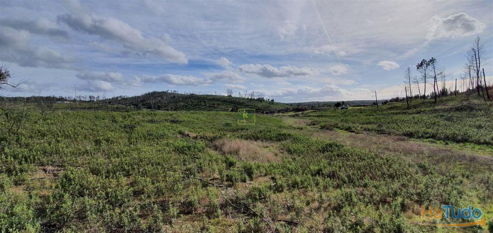 Quinta T0 Venda em Freixial e Juncal do Campo,Castelo Branco Quinta T0 Venda em Freixial e Juncal do Campo,Castelo Branco
