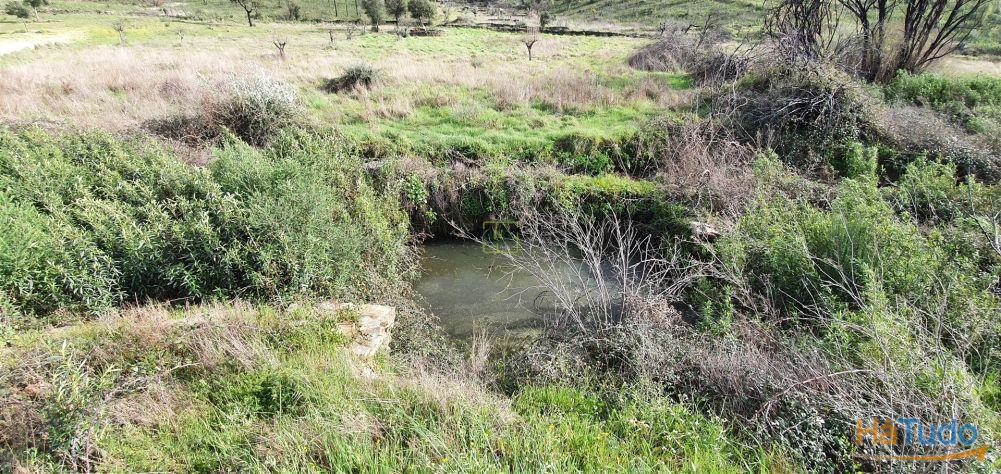 Quinta T0 Venda em Freixial e Juncal do Campo,Castelo Branco Quinta T0 Venda em Freixial e Juncal do Campo,Castelo Branco
