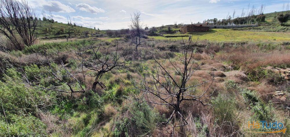 Quinta T0 Venda em Freixial e Juncal do Campo,Castelo Branco Quinta T0 Venda em Freixial e Juncal do Campo,Castelo Branco