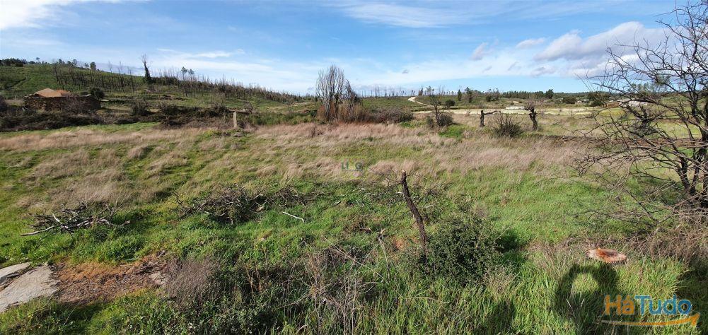 Quinta T0 Venda em Freixial e Juncal do Campo,Castelo Branco Quinta T0 Venda em Freixial e Juncal do Campo,Castelo Branco