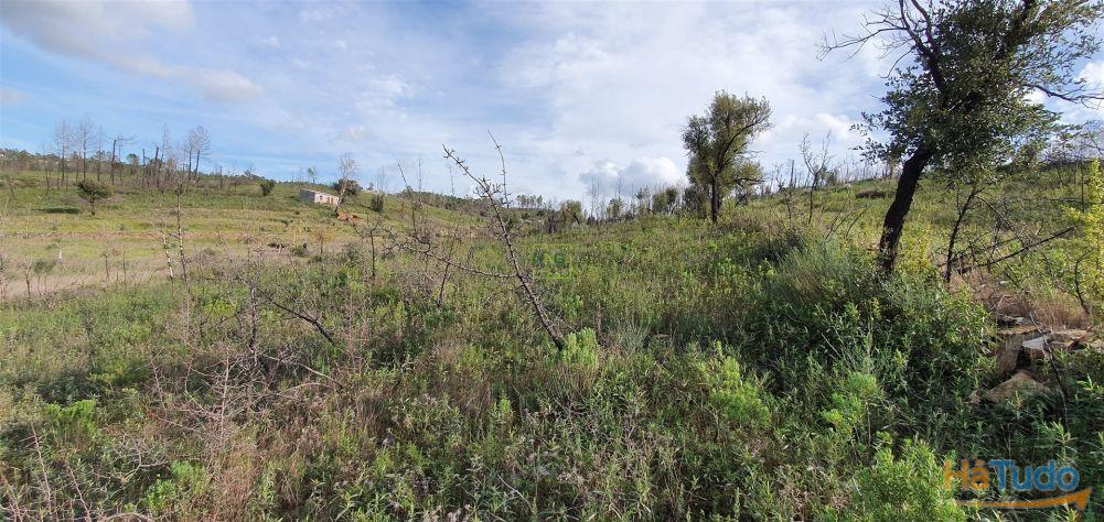 Quinta T0 Venda em Freixial e Juncal do Campo,Castelo Branco Quinta T0 Venda em Freixial e Juncal do Campo,Castelo Branco