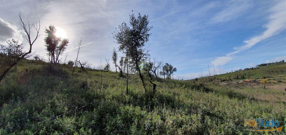 Quinta T0 Venda em Freixial e Juncal do Campo,Castelo Branco Quinta T0 Venda em Freixial e Juncal do Campo,Castelo Branco