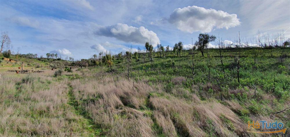 Quinta T0 Venda em Freixial e Juncal do Campo,Castelo Branco Quinta T0 Venda em Freixial e Juncal do Campo,Castelo Branco