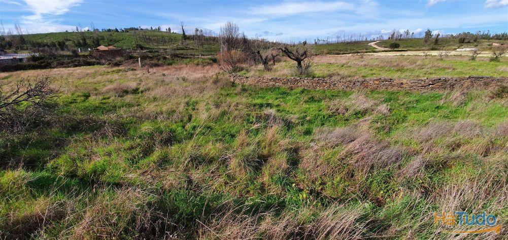 Quinta T0 Venda em Freixial e Juncal do Campo,Castelo Branco Quinta T0 Venda em Freixial e Juncal do Campo,Castelo Branco
