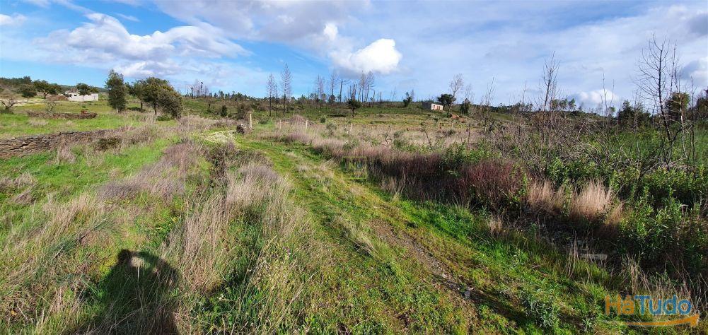 Quinta T0 Venda em Freixial e Juncal do Campo,Castelo Branco Quinta T0 Venda em Freixial e Juncal do Campo,Castelo Branco