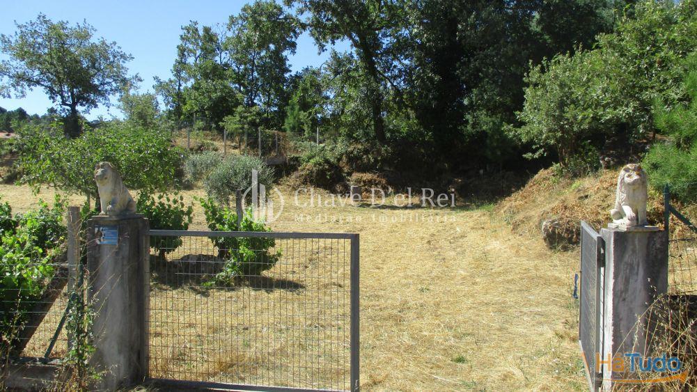 Quintinha Venda em Freixiosa,Mangualde Quintinha Venda em Freixiosa,Mangualde