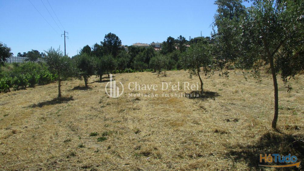 Quintinha Venda em Freixiosa,Mangualde Quintinha Venda em Freixiosa,Mangualde