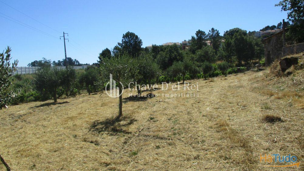 Quintinha Venda em Freixiosa,Mangualde Quintinha Venda em Freixiosa,Mangualde