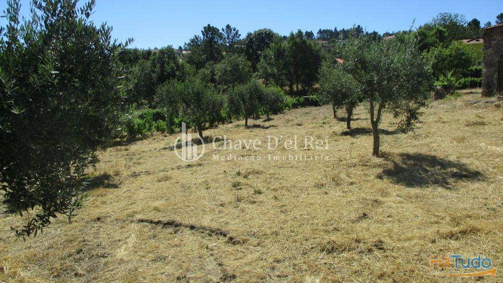 Quintinha Venda em Freixiosa,Mangualde Quintinha Venda em Freixiosa,Mangualde