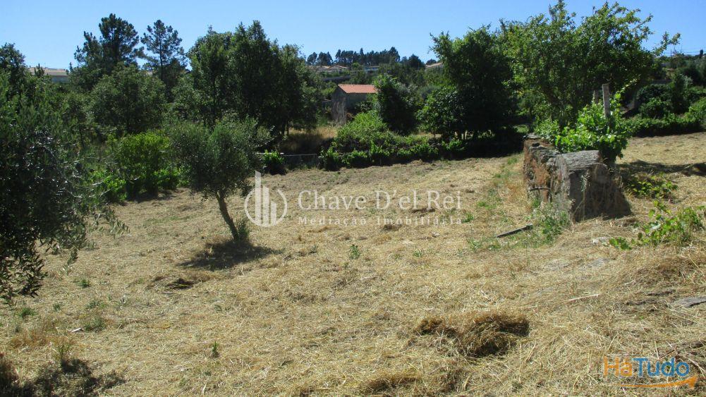 Quintinha Venda em Freixiosa,Mangualde Quintinha Venda em Freixiosa,Mangualde