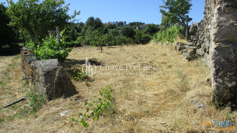 Quintinha Venda em Freixiosa,Mangualde Quintinha Venda em Freixiosa,Mangualde