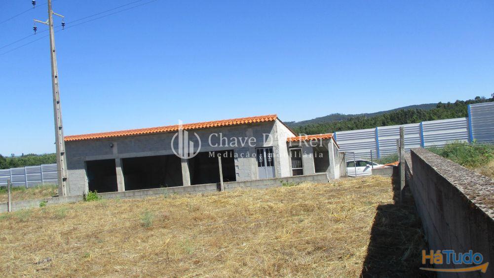 Terreno Venda em Freixiosa,Mangualde Terreno Venda em Freixiosa,Mangualde