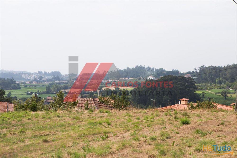 QUINTA PARA RESTAURO? QUINTA PARA RESTAURO?