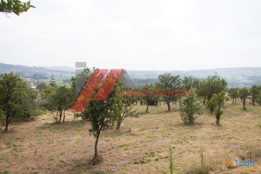 QUINTA PARA RESTAURO? QUINTA PARA RESTAURO?