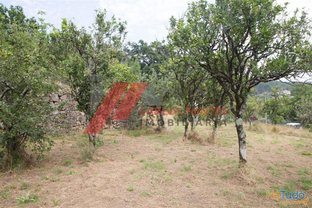 QUINTA PARA RESTAURO? QUINTA PARA RESTAURO?