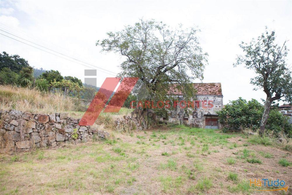 QUINTA PARA RESTAURO? QUINTA PARA RESTAURO?