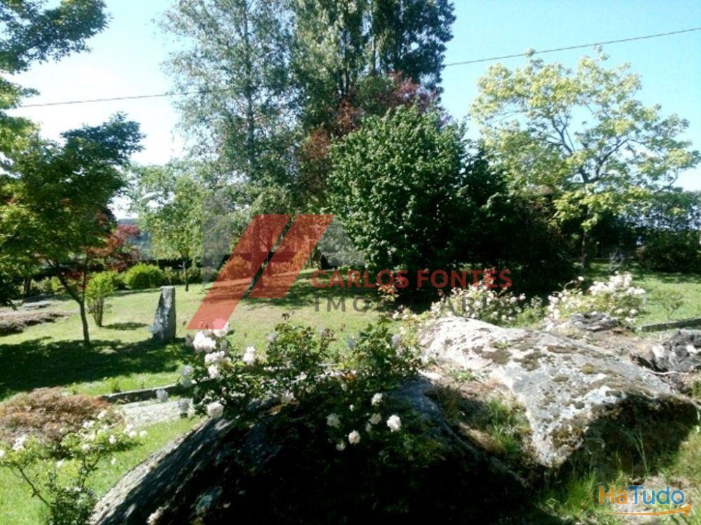 FANTASTICA QUINTA EM SANTO TIRSO!!! FANTASTICA QUINTA EM SANTO TIRSO!!!