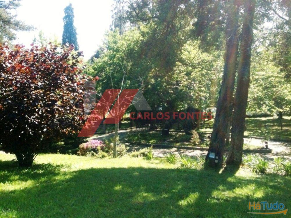 FANTASTICA QUINTA EM SANTO TIRSO!!! FANTASTICA QUINTA EM SANTO TIRSO!!!