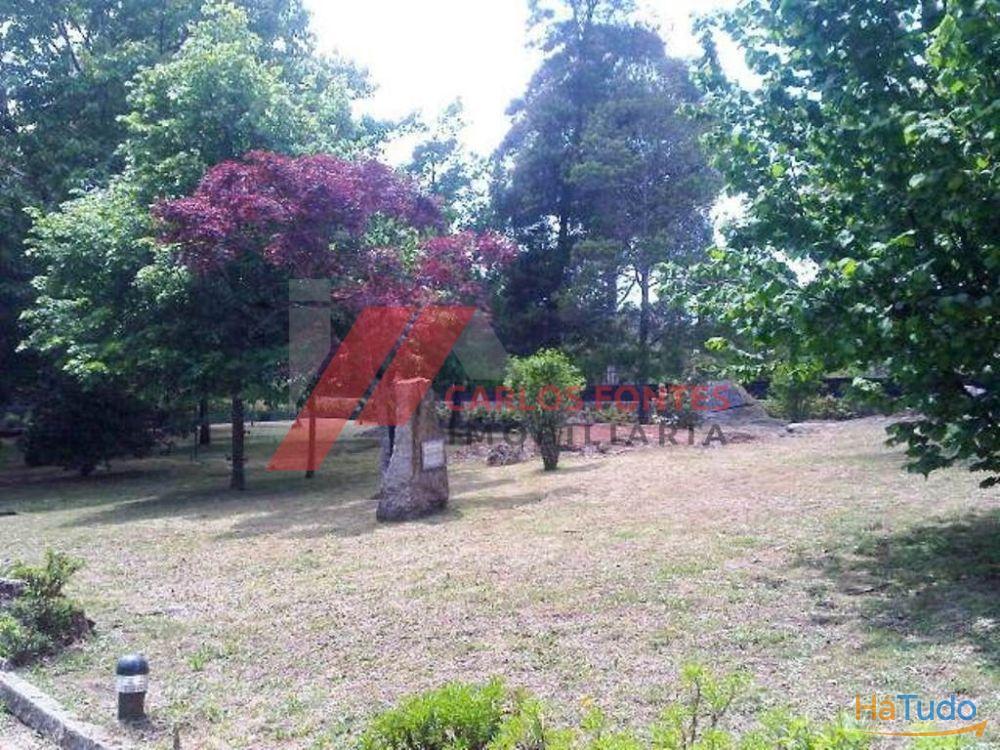 FANTASTICA QUINTA EM SANTO TIRSO!!! FANTASTICA QUINTA EM SANTO TIRSO!!!