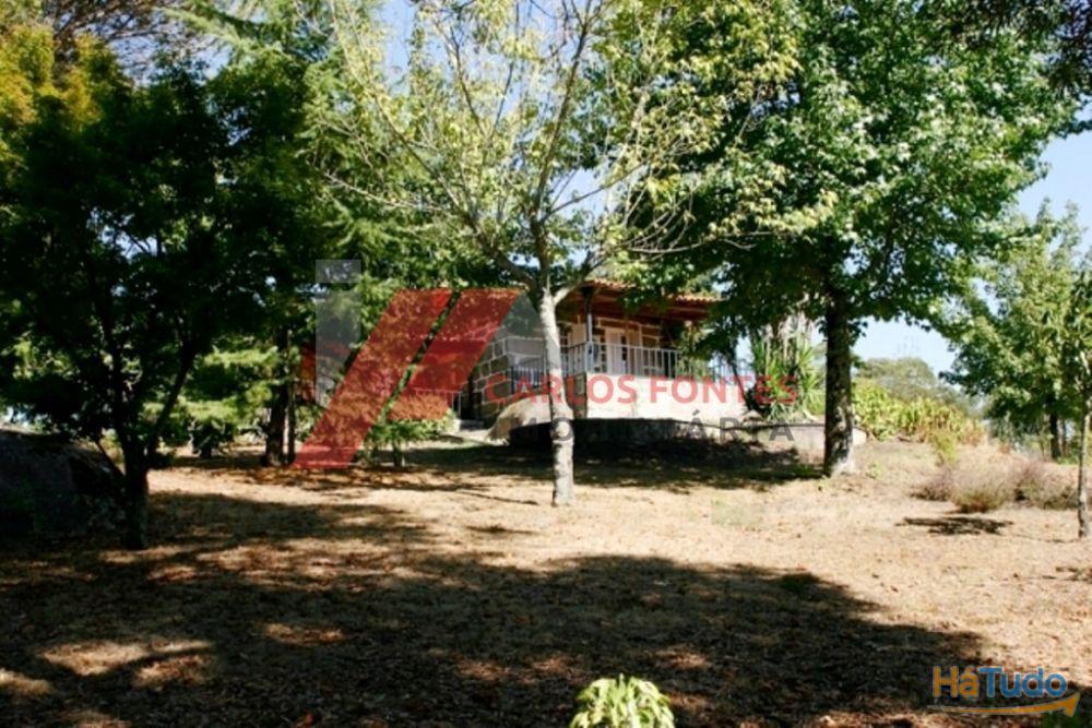 FANTASTICA QUINTA EM SANTO TIRSO!!! FANTASTICA QUINTA EM SANTO TIRSO!!!