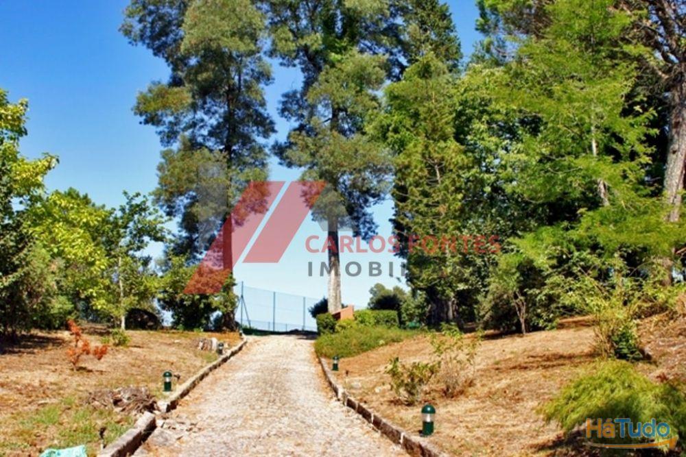 FANTASTICA QUINTA EM SANTO TIRSO!!! FANTASTICA QUINTA EM SANTO TIRSO!!!