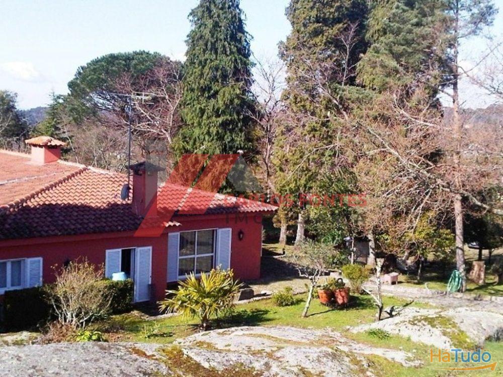 FANTASTICA QUINTA EM SANTO TIRSO!!! FANTASTICA QUINTA EM SANTO TIRSO!!!